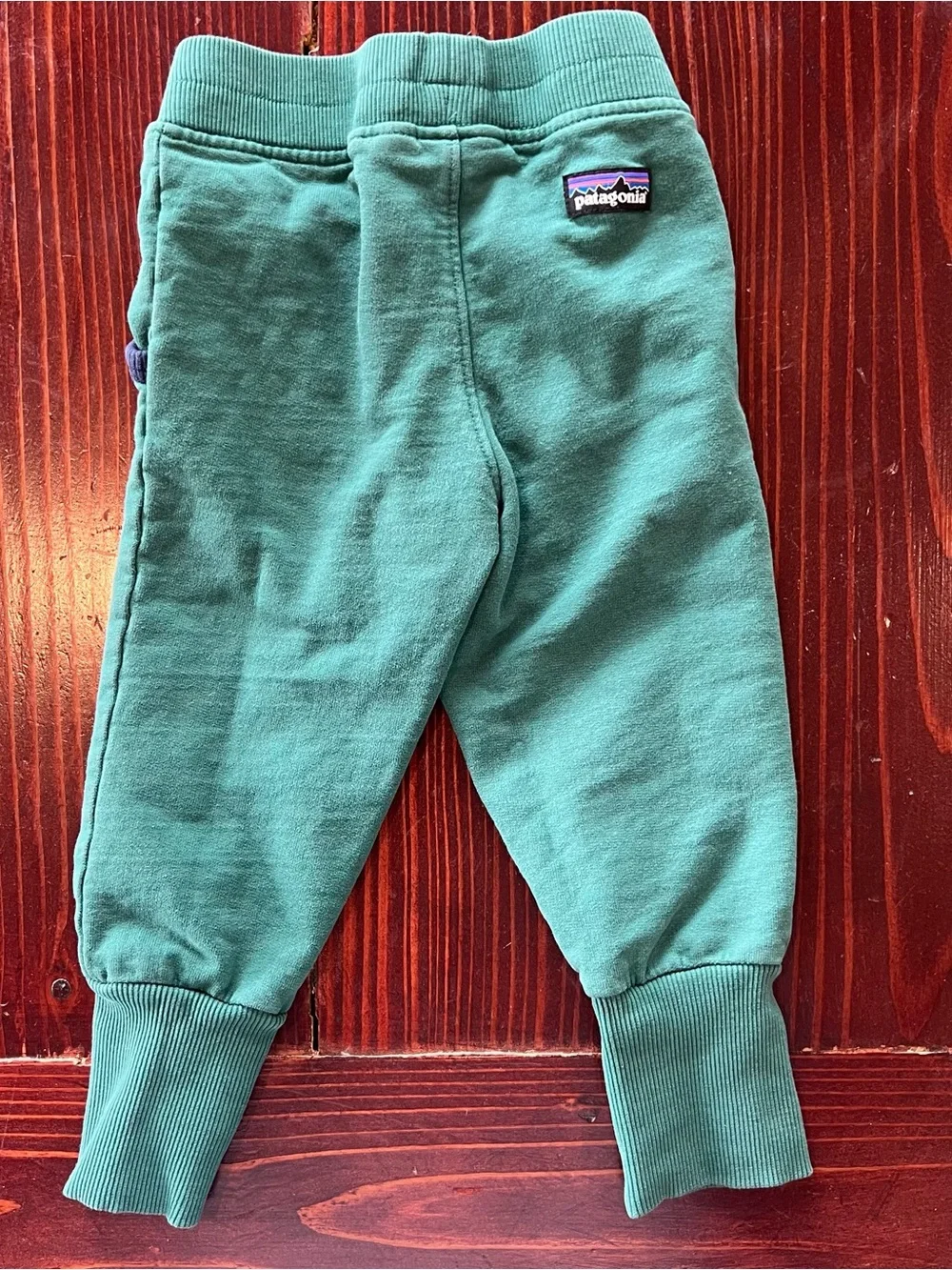 Patagonia Kids Teal Green Graphic Joggers with Navy Trim